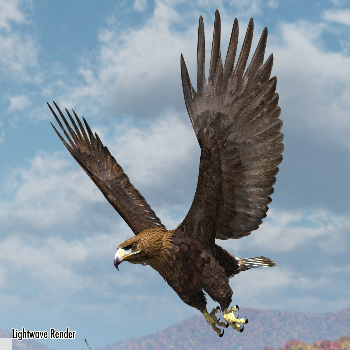 Golden Eagle - rigged - animated standard PBR VRAY 3D model_19