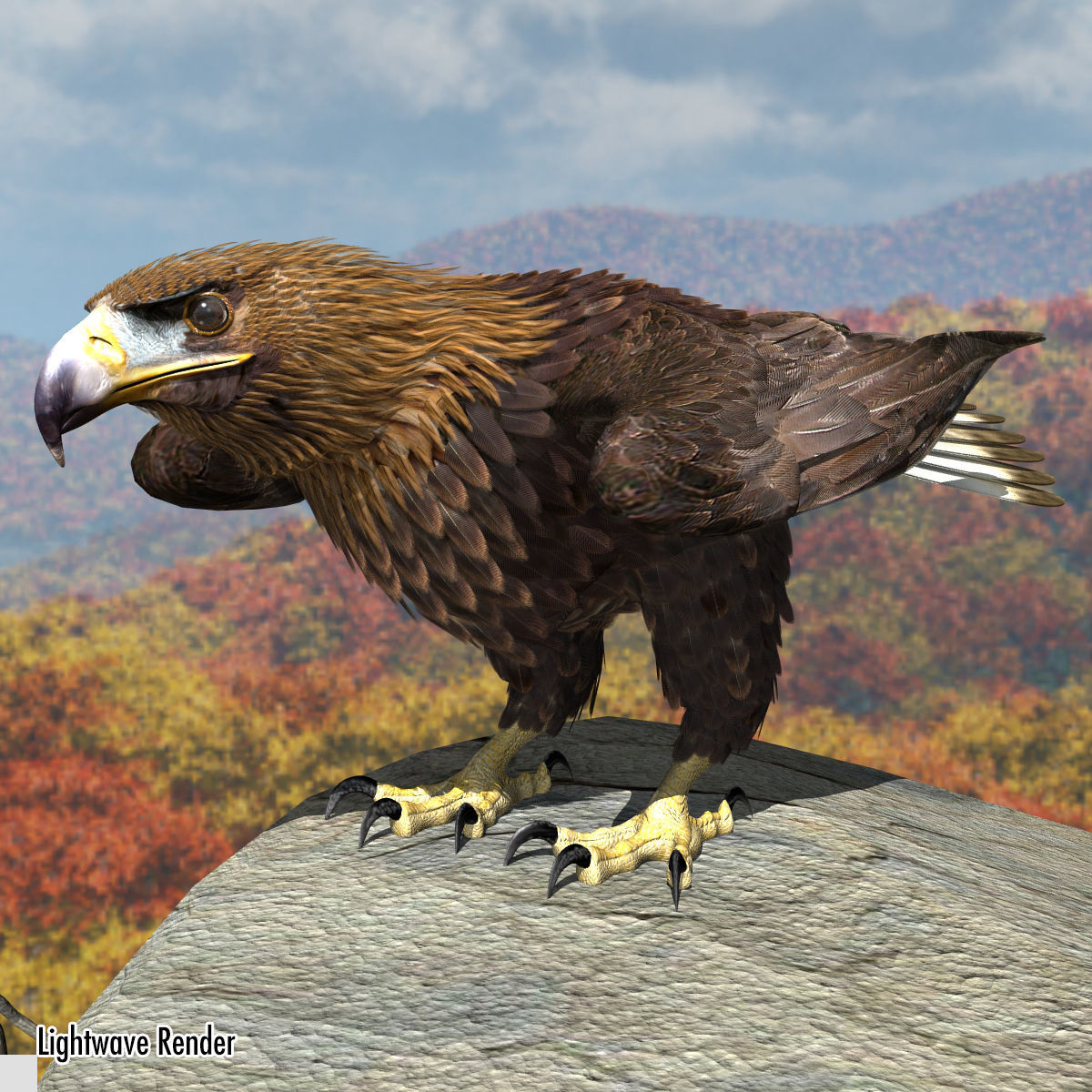Golden Eagle - rigged - animated standard PBR VRAY 3D model_16