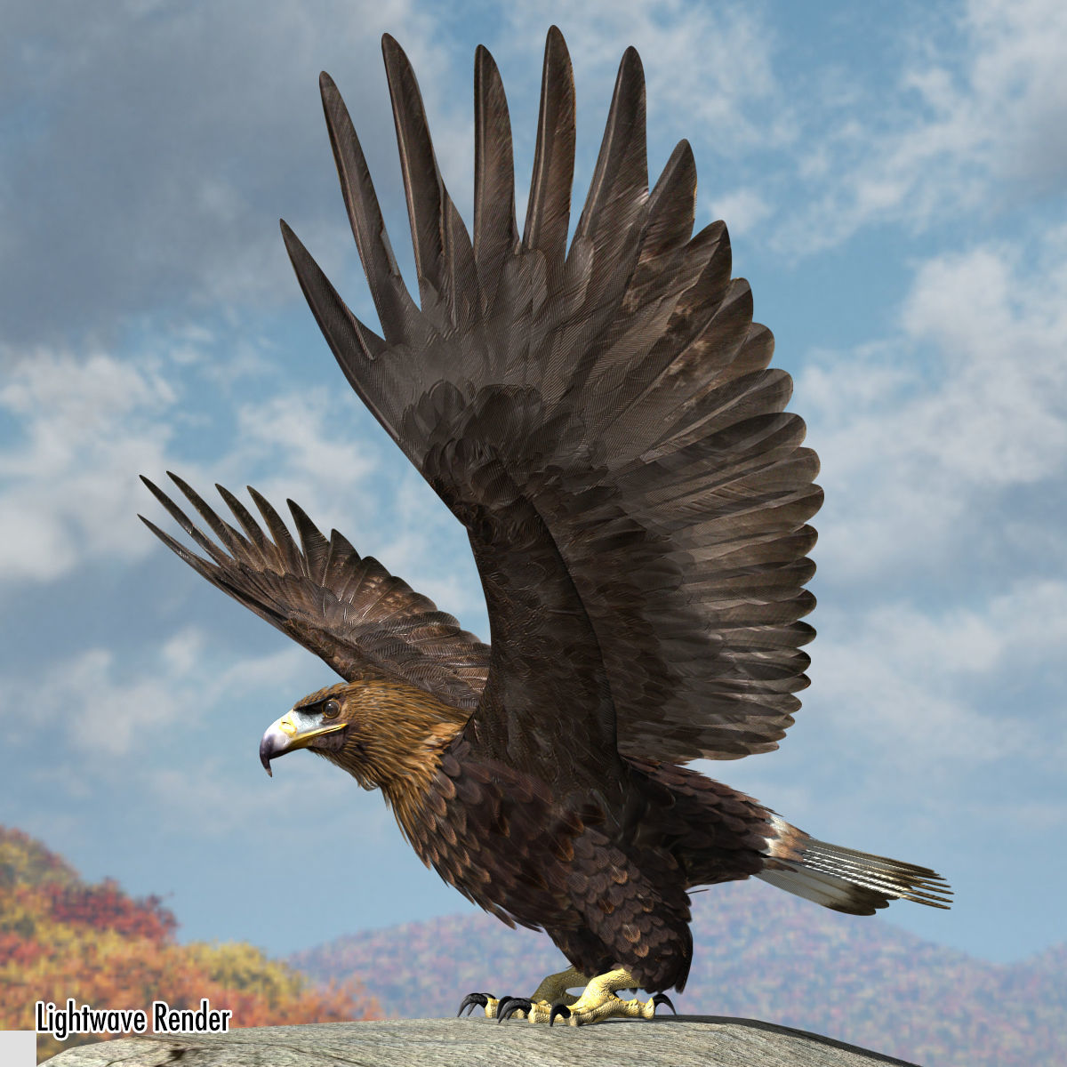 Golden Eagle - rigged - animated standard PBR VRAY 3D model_13