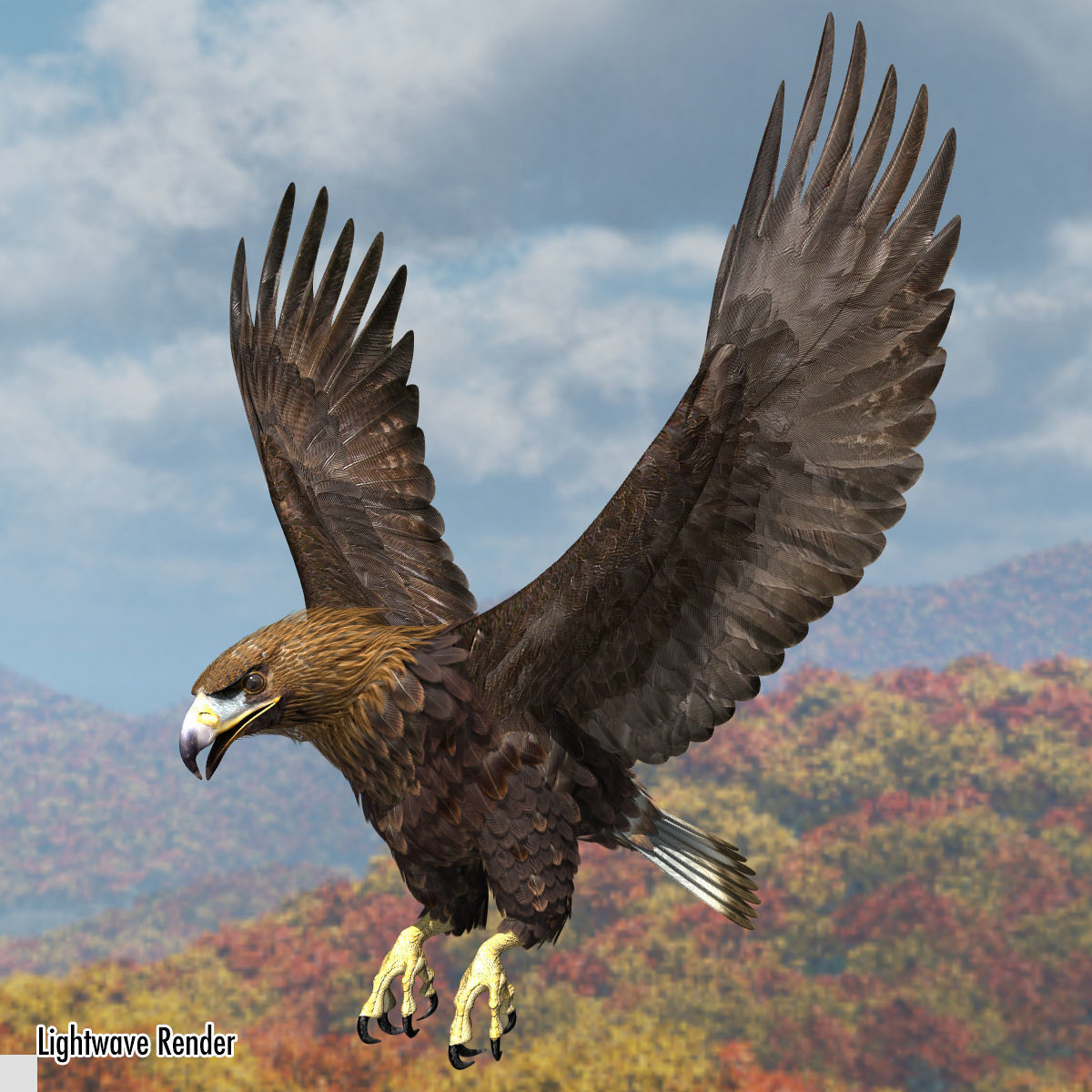 Golden Eagle - rigged - animated standard PBR VRAY 3D model_25