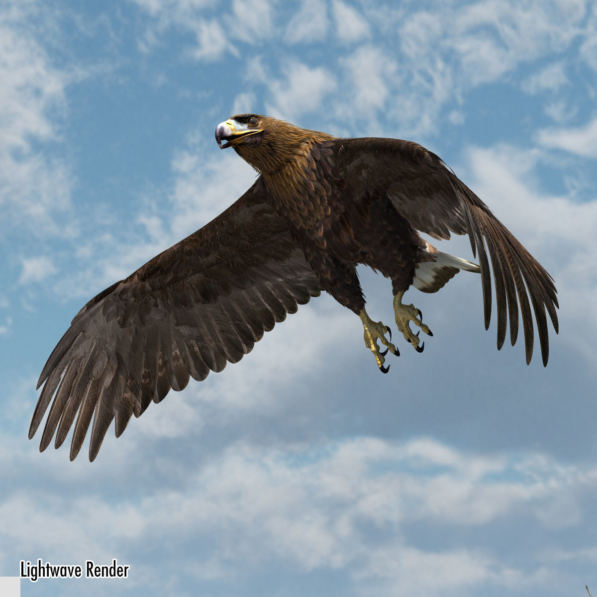 Golden Eagle - rigged - animated standard PBR VRAY 3D model_20