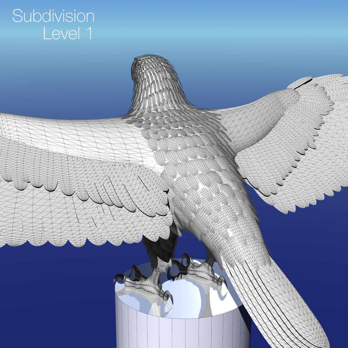 Golden Eagle - rigged - animated standard PBR VRAY 3D model_33