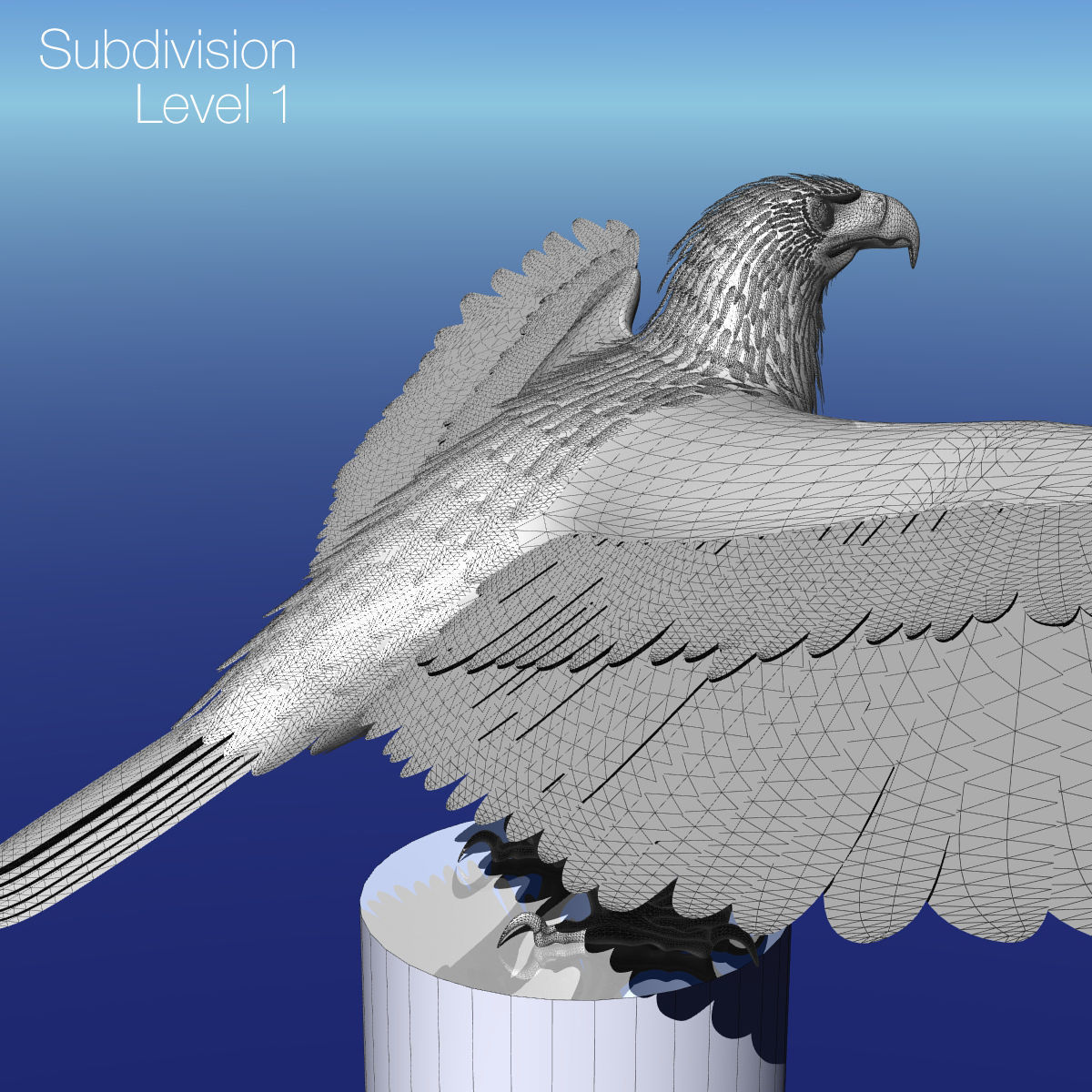 Golden Eagle - rigged - animated standard PBR VRAY 3D model_31