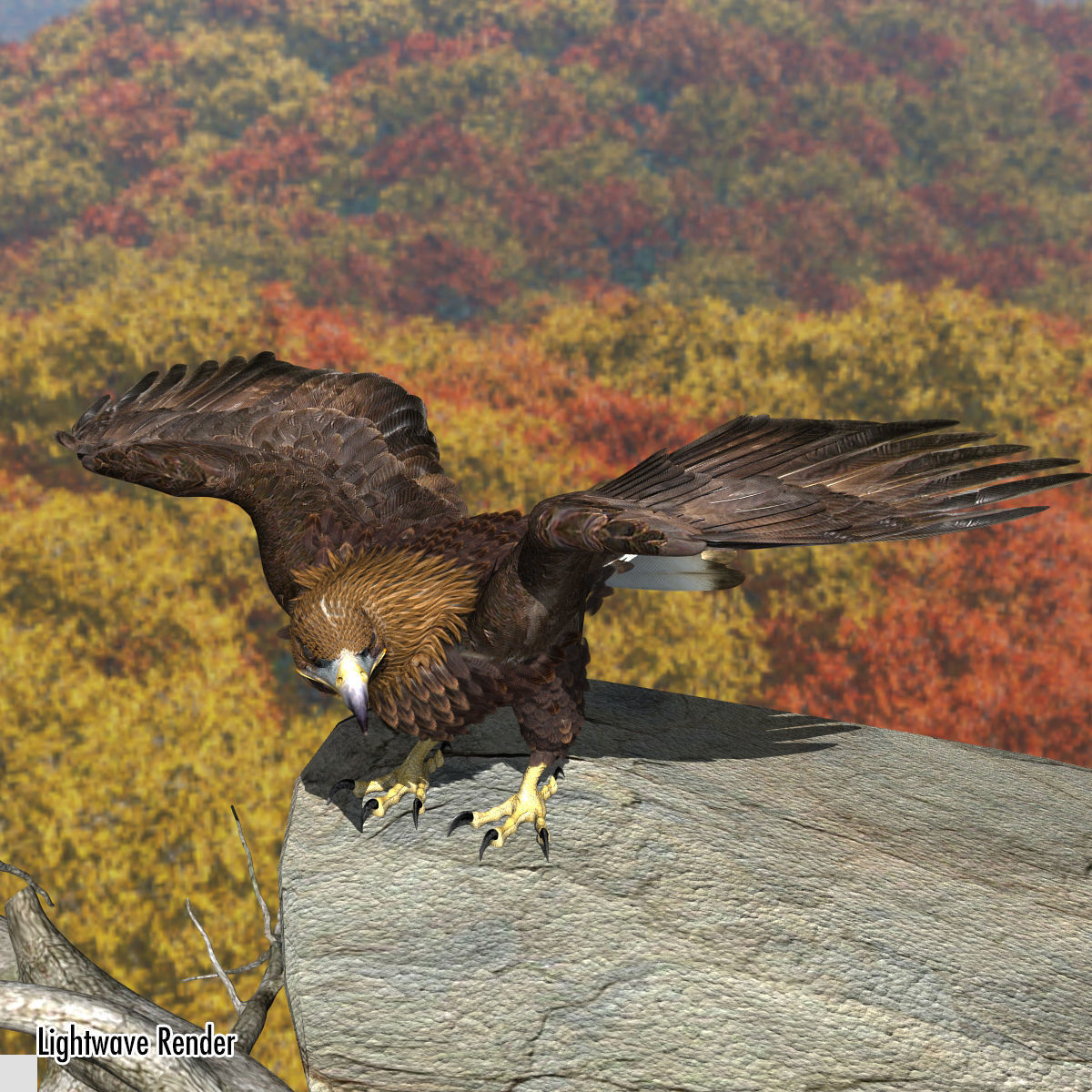 Golden Eagle - rigged - animated standard PBR VRAY 3D model_18