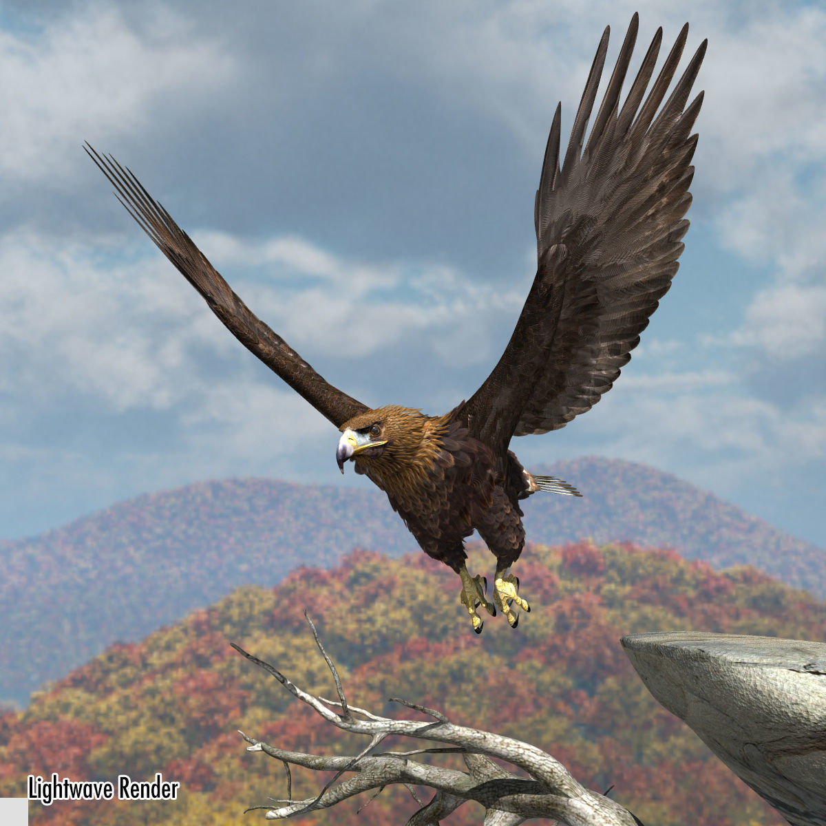 Golden Eagle - rigged - animated standard PBR VRAY 3D model_24