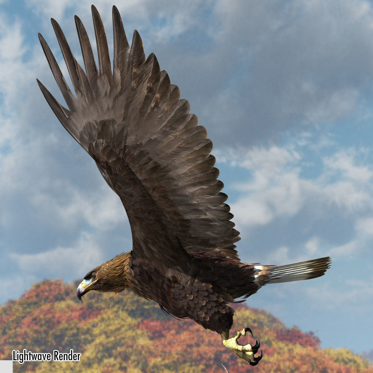 Golden Eagle - rigged - animated standard PBR VRAY 3D model_14