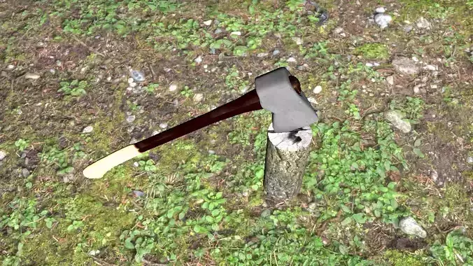 Woodcutter axe