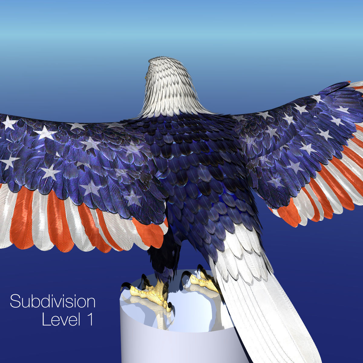 Bald Eagle 2 Stars And Stripes 3D model_35