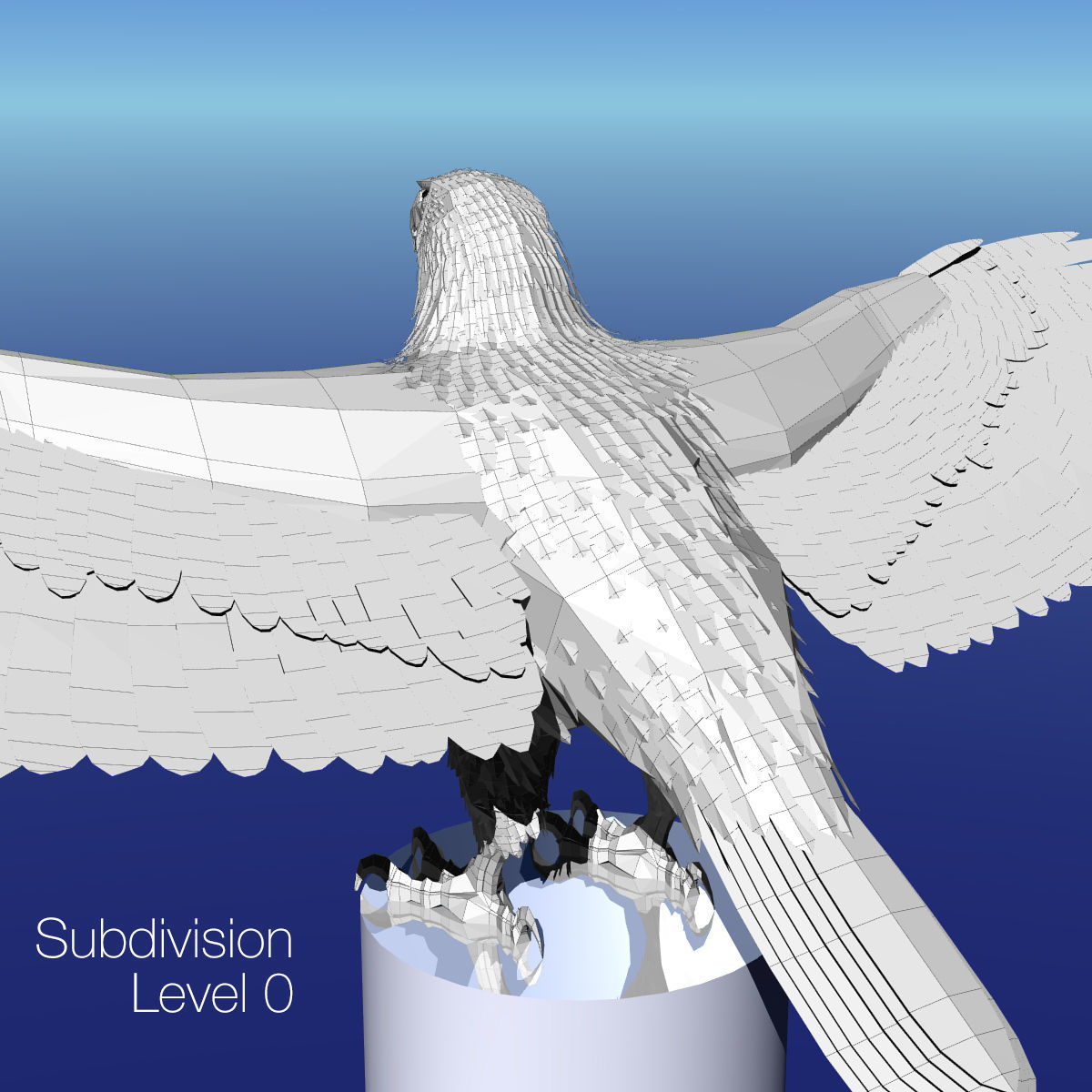 Bald Eagle 2 Stars And Stripes 3D model_36