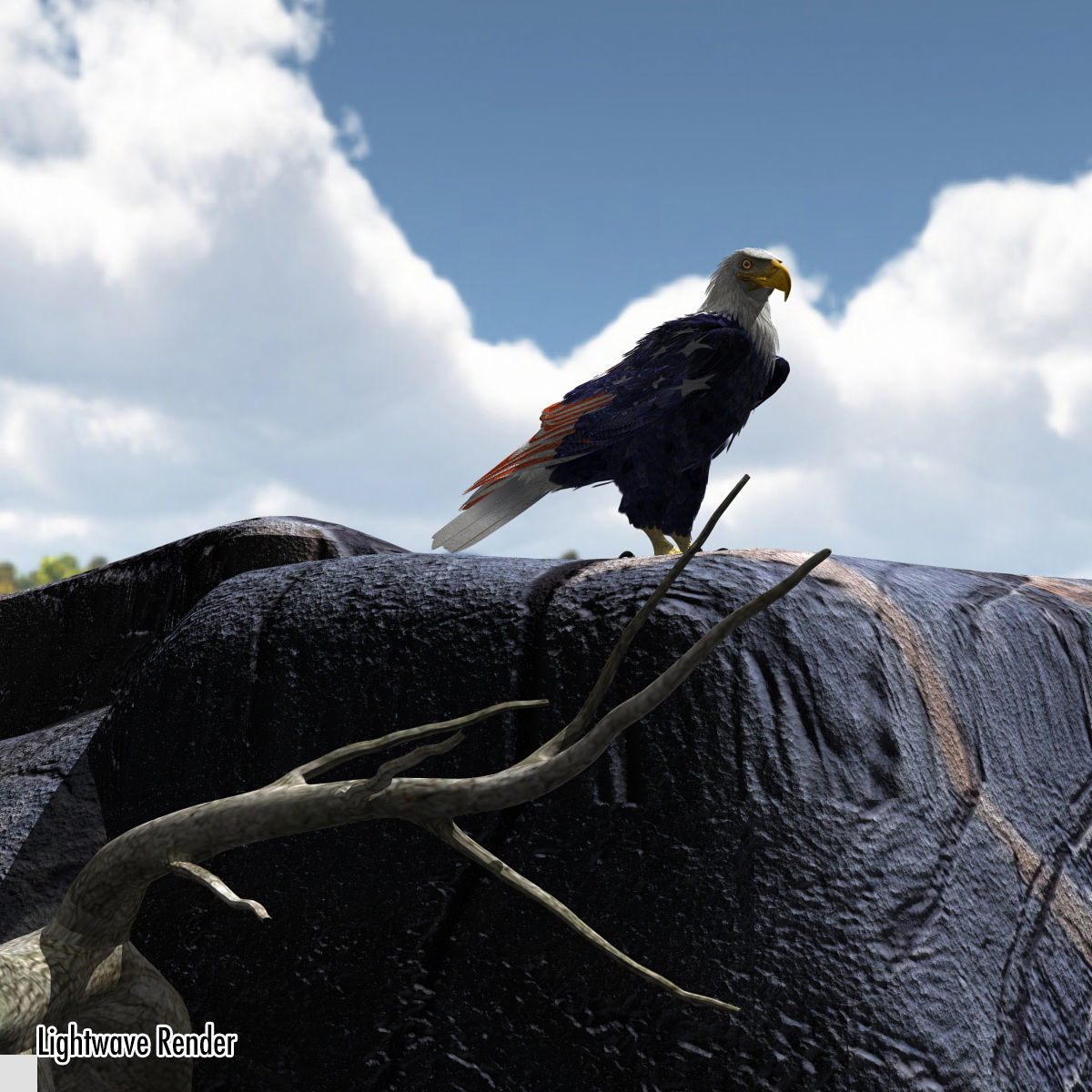 Bald Eagle 2 Stars And Stripes 3D model_7