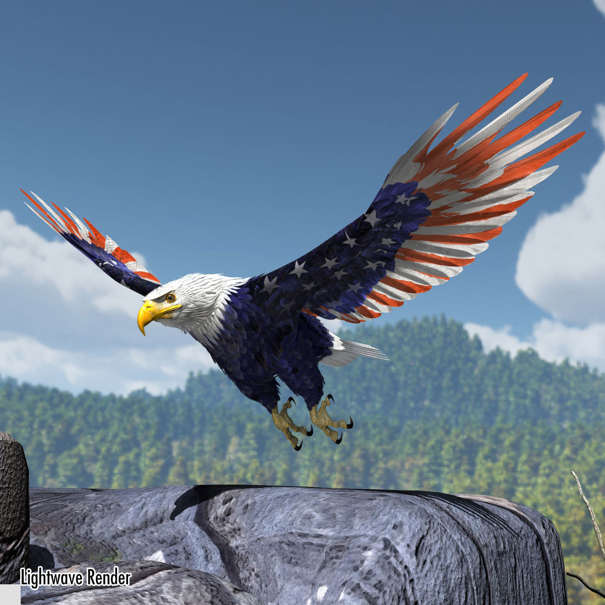 Bald Eagle 2 Stars And Stripes 3D model_20