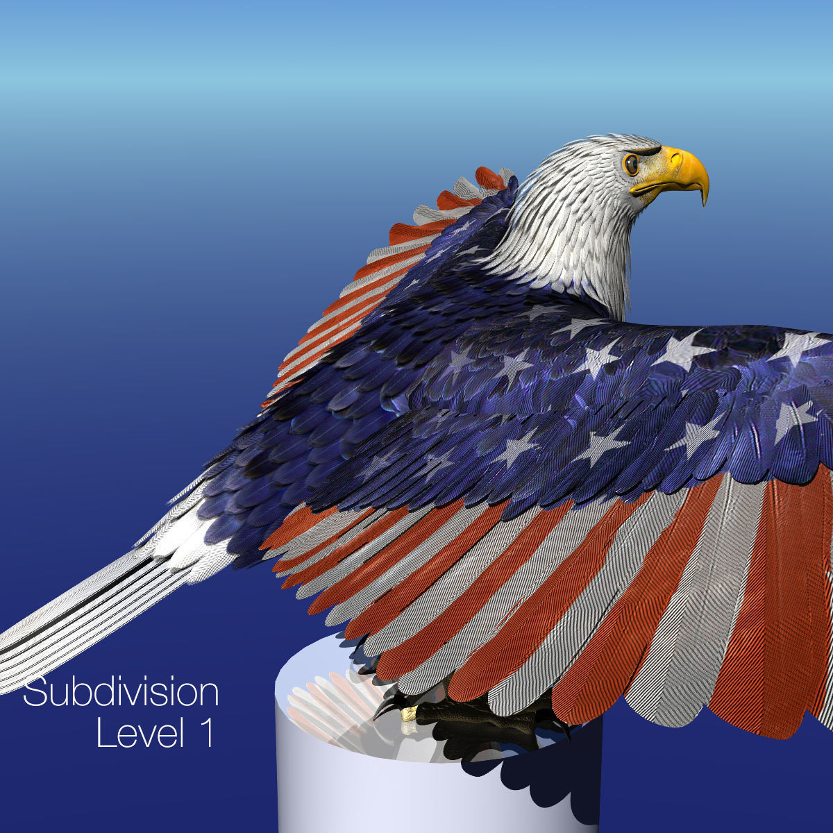 Bald Eagle 2 Stars And Stripes 3D model_31