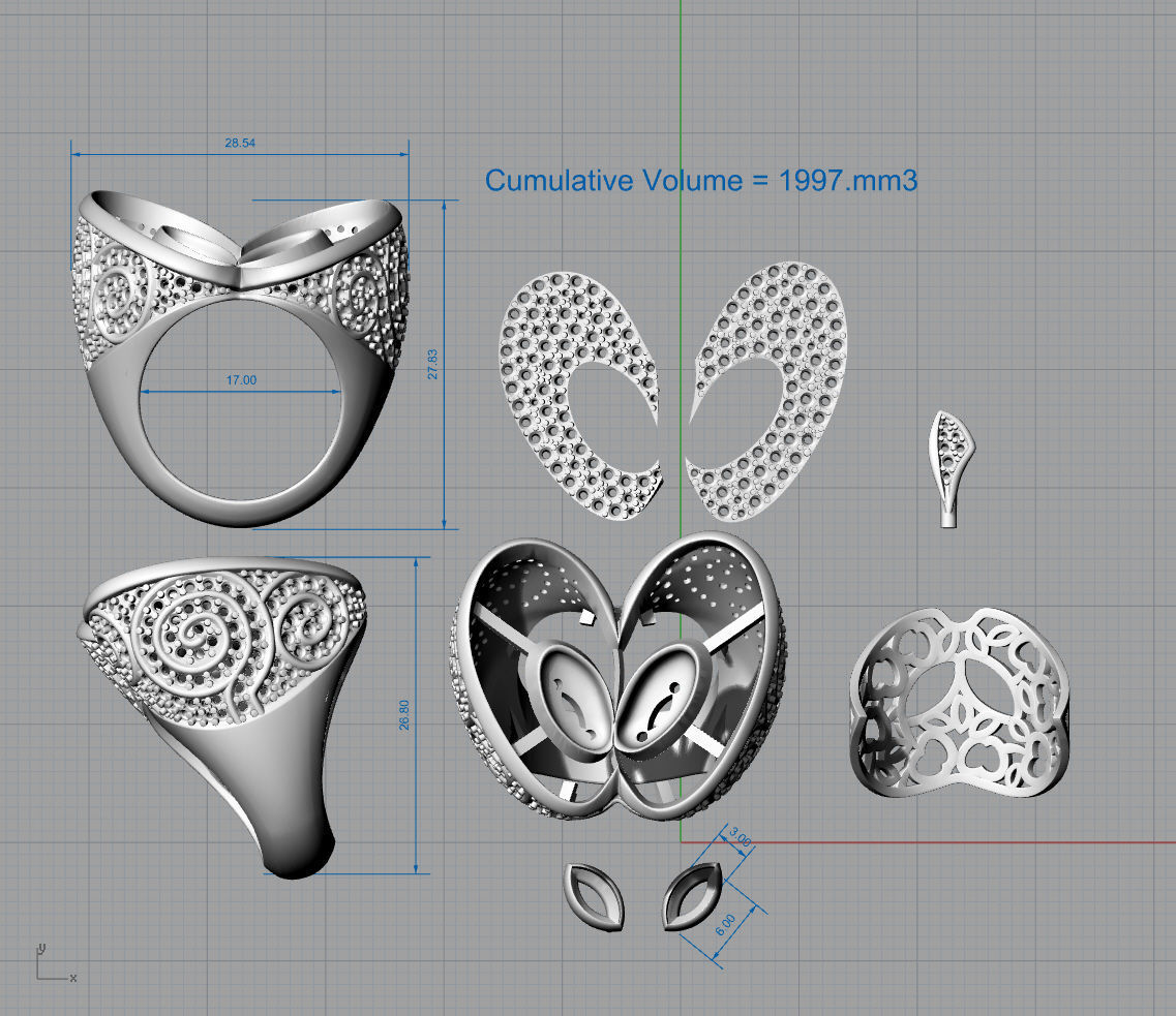 Half apple ring - original  3D print model_6