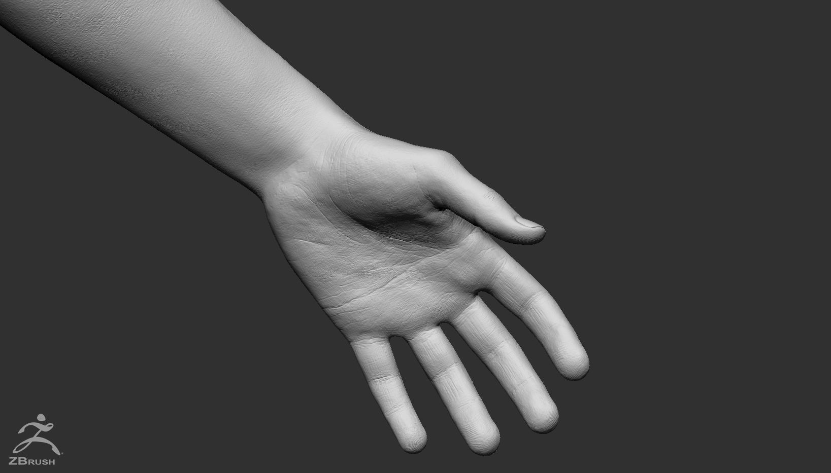 Custom Human Basemesh Set 3D Model Collection_38