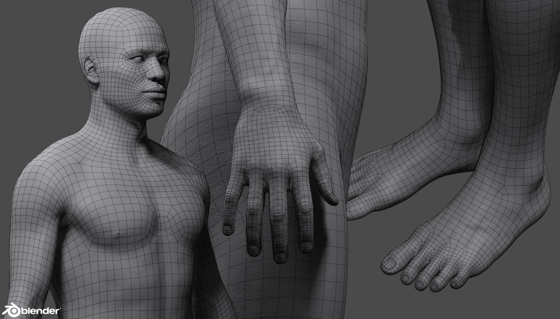 Custom Human Basemesh Set 3D Model Collection_69