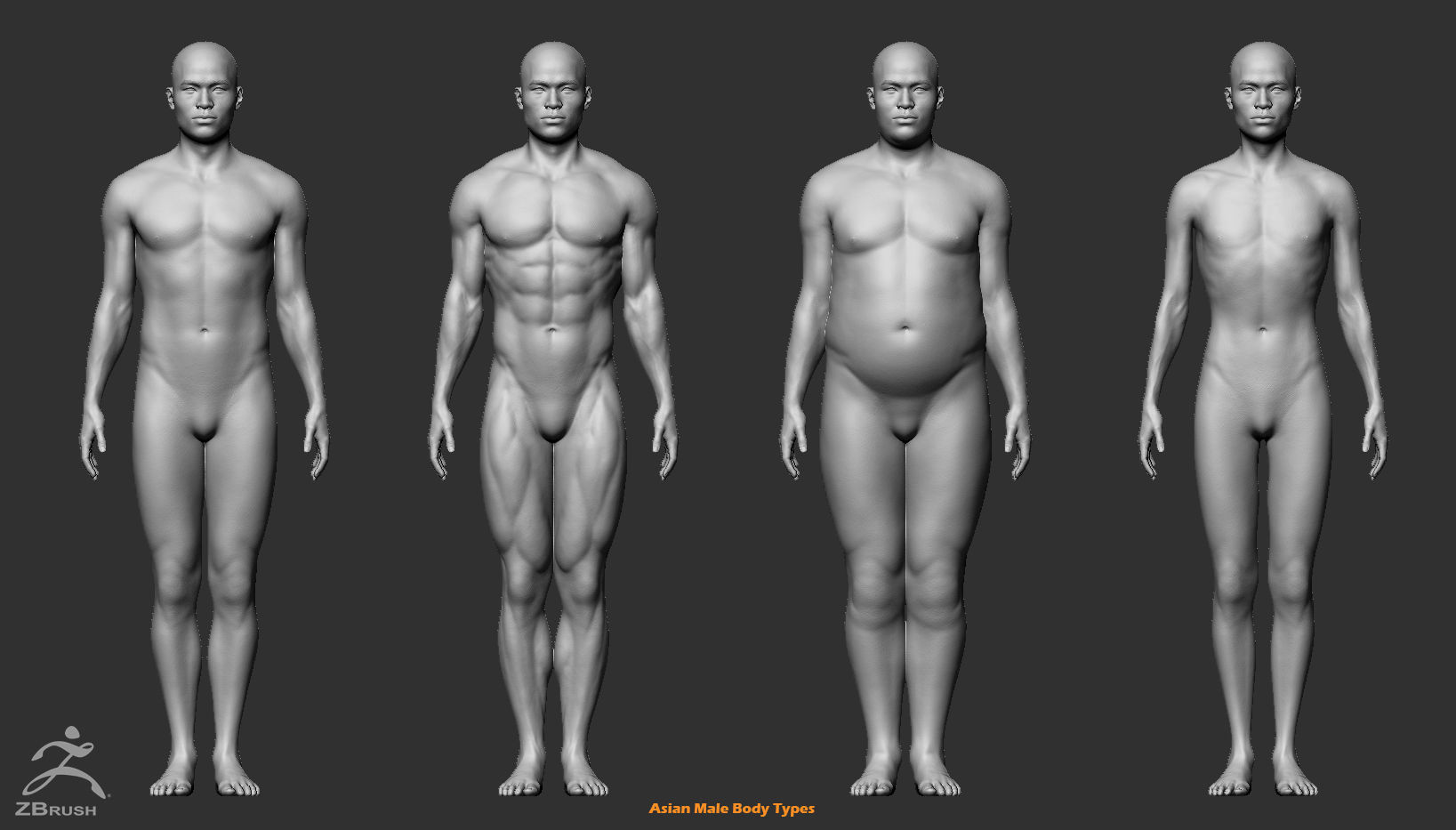 Custom Human Basemesh Set 3D Model Collection_27