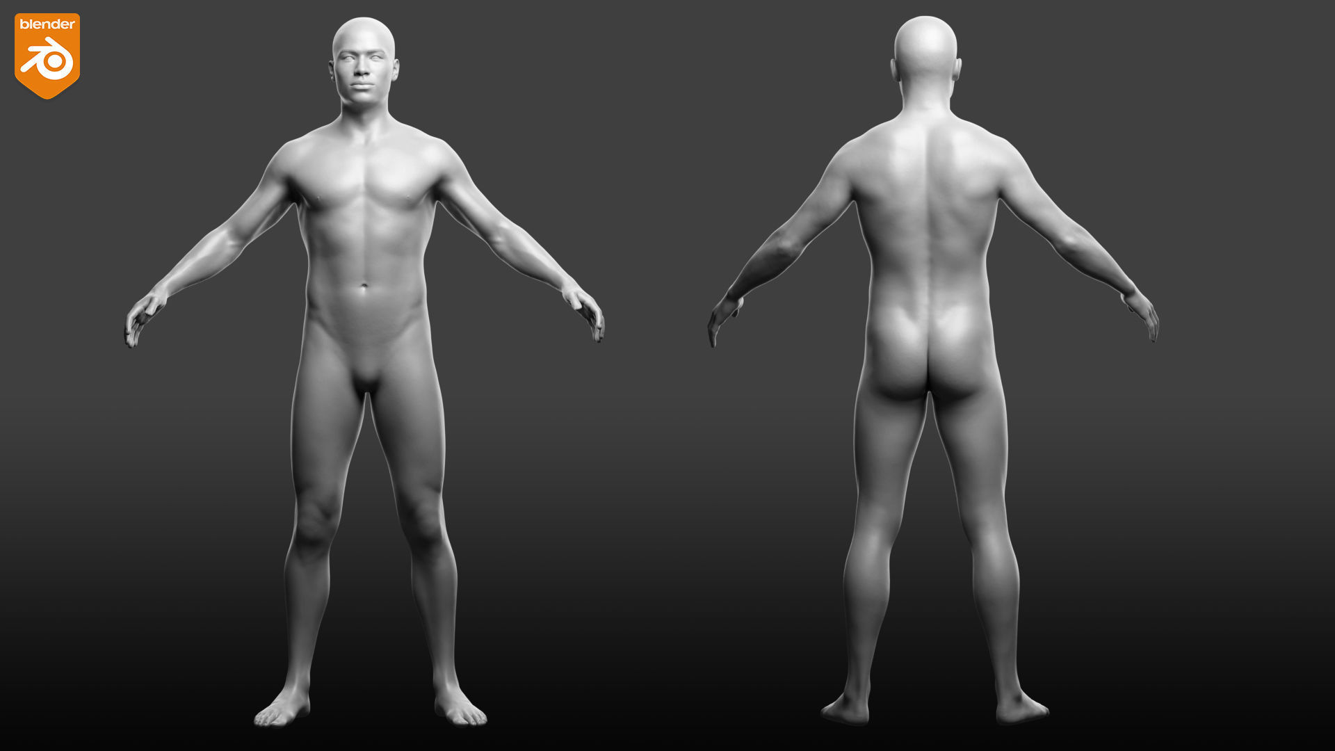 Custom Human Basemesh Set 3D Model Collection_63