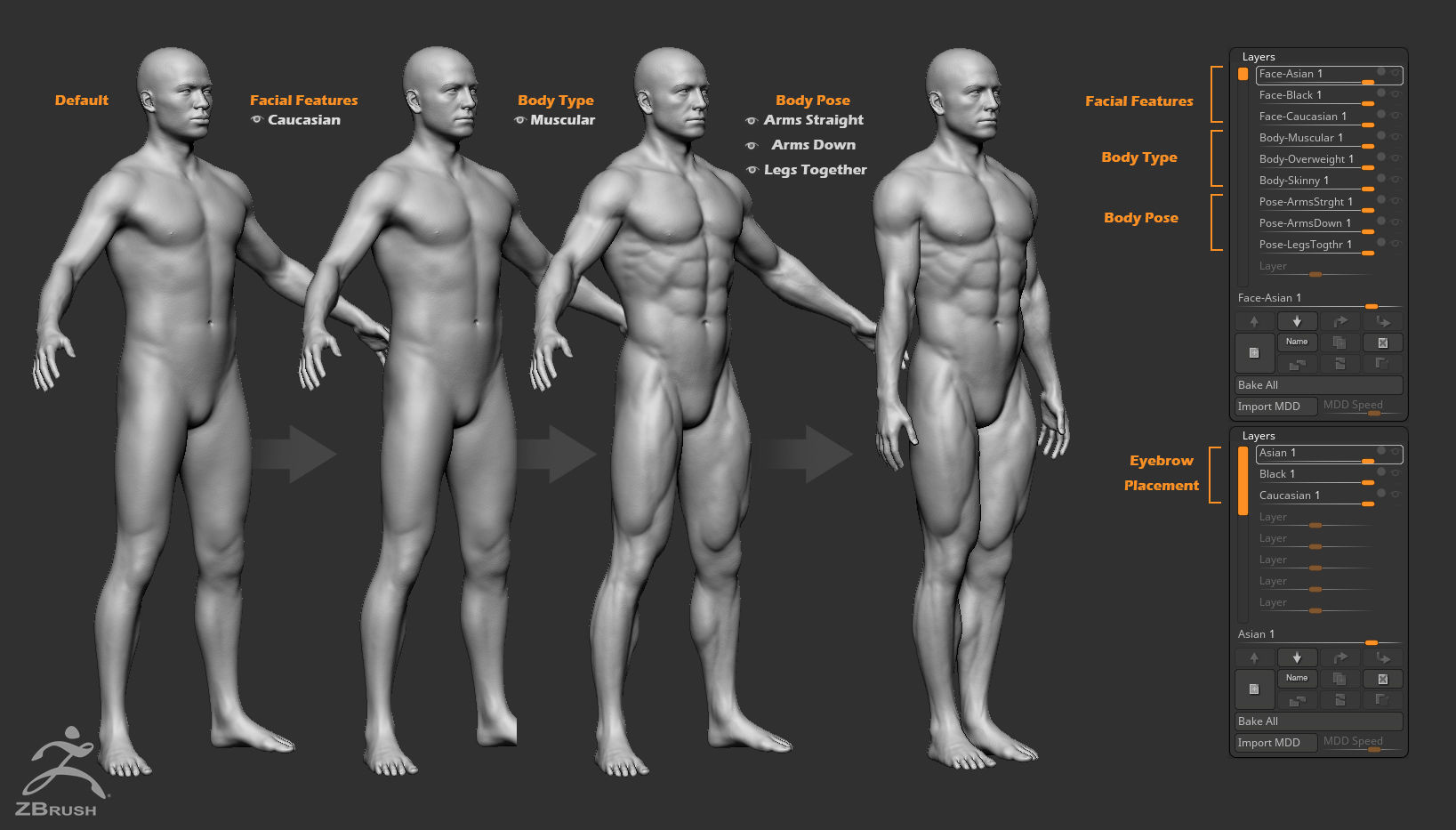 Custom Human Basemesh Set 3D Model Collection_23