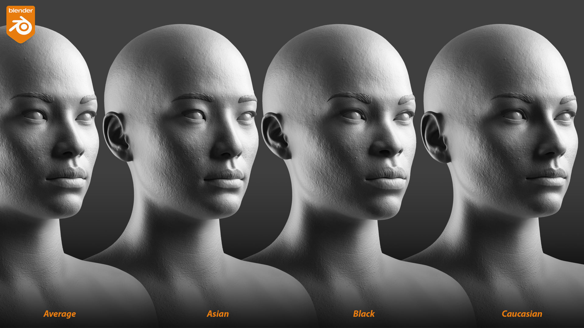 Custom Human Basemesh Set 3D Model Collection_46