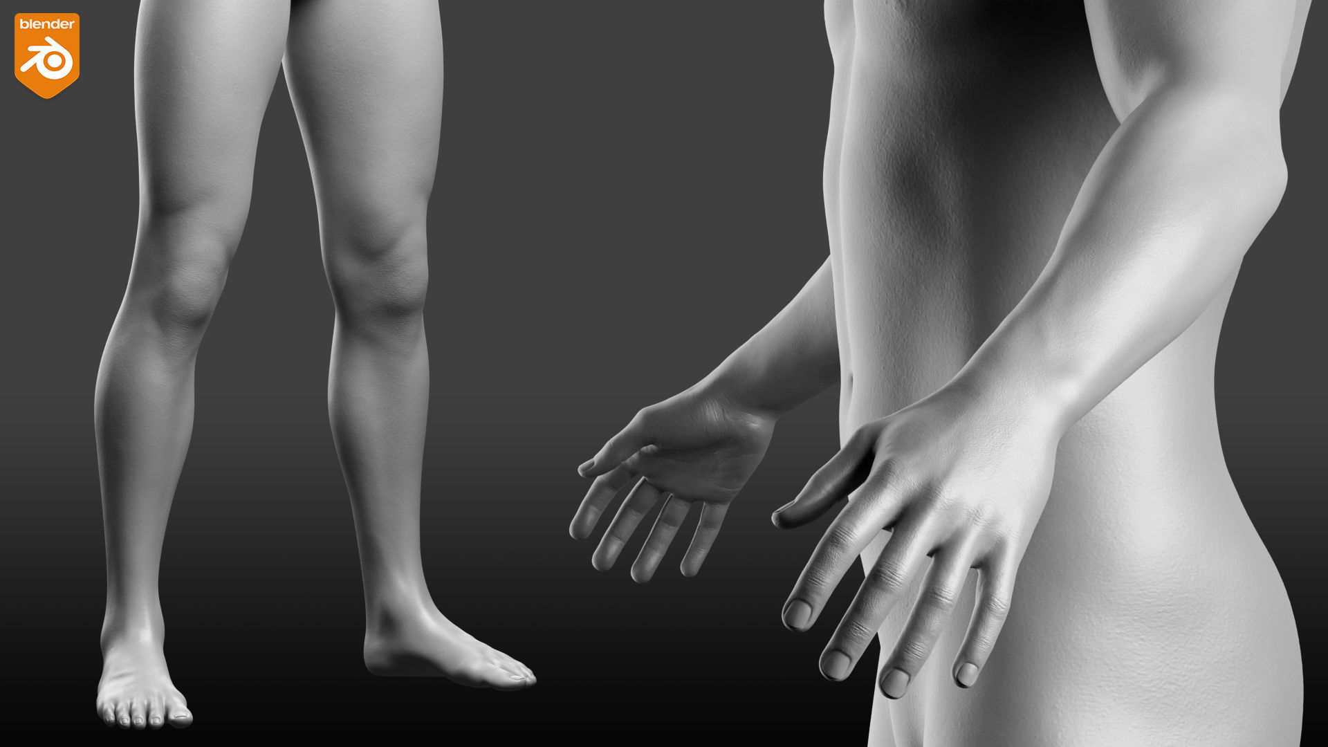 Custom Human Basemesh Set 3D Model Collection_66