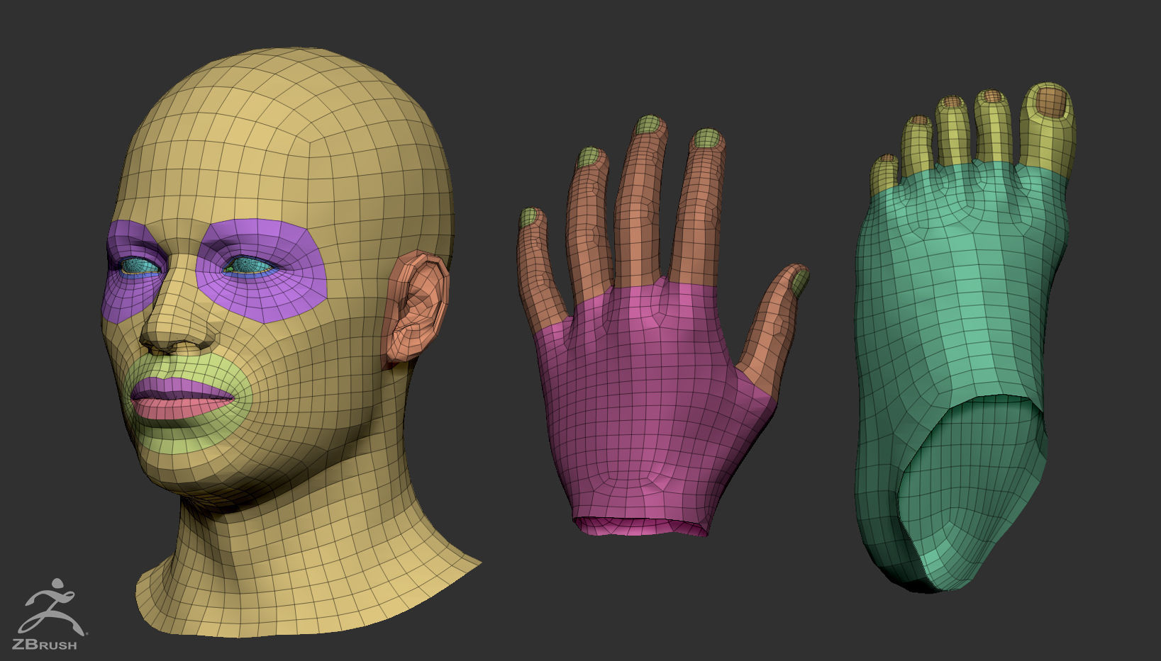 Custom Human Basemesh Set 3D Model Collection_39