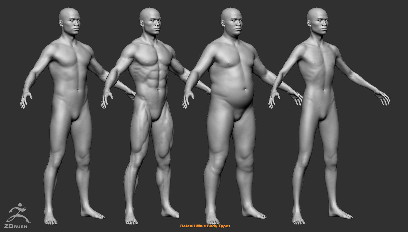 Custom Human Basemesh Set 3D Model Collection_25