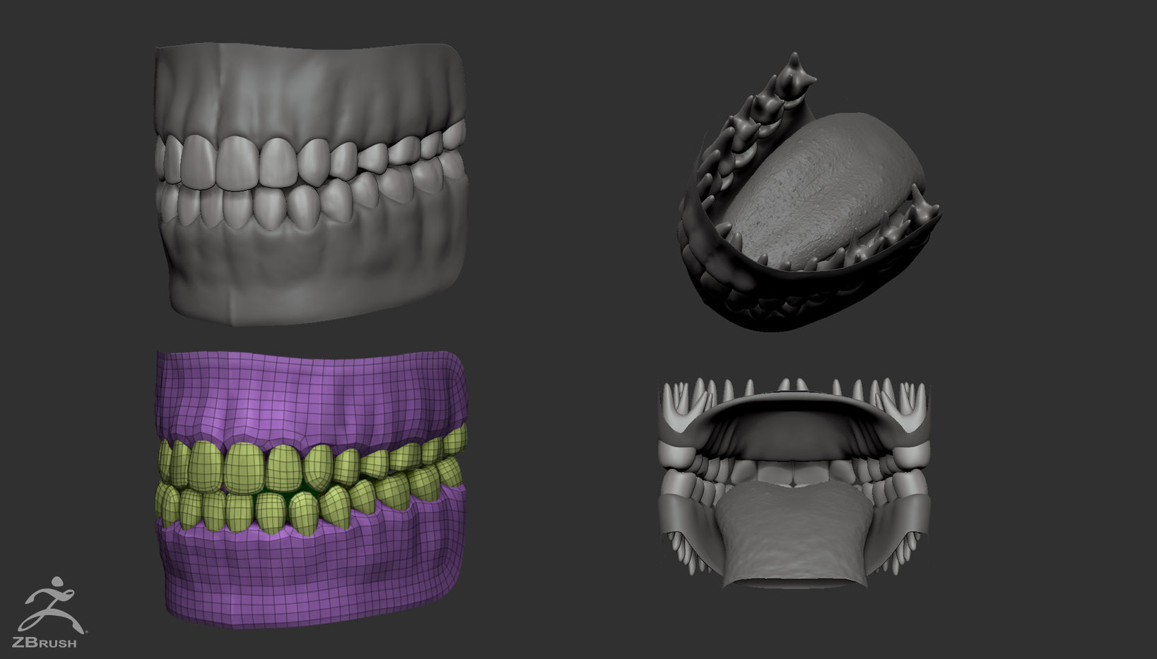 Custom Human Basemesh Set 3D Model Collection_41