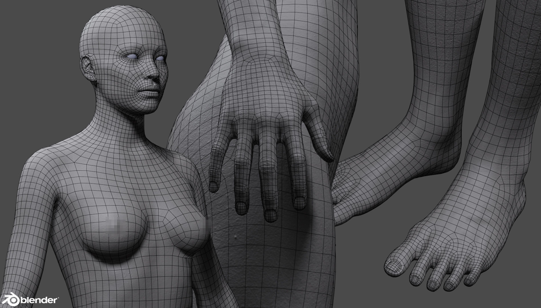 Custom Human Basemesh Set 3D Model Collection_54