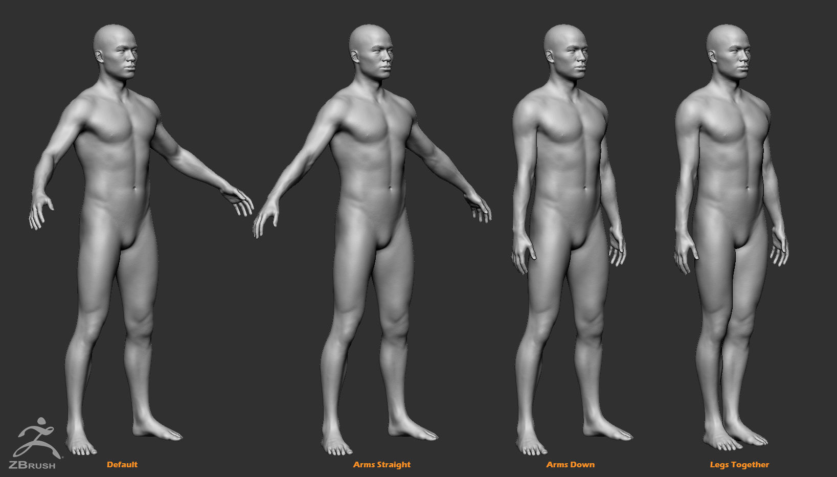 Custom Human Basemesh Set 3D Model Collection_26