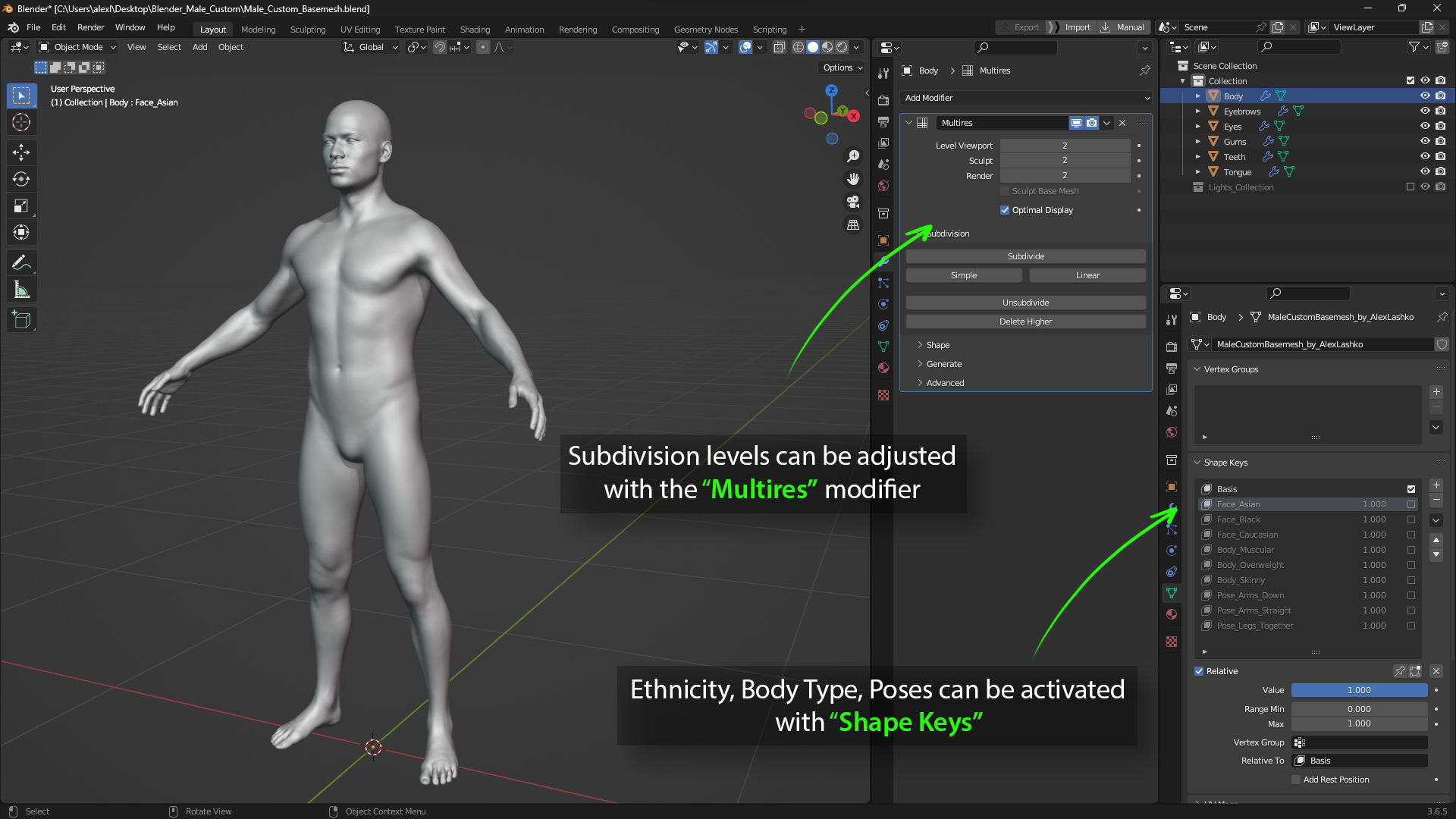 Custom Human Basemesh Set 3D Model Collection_72