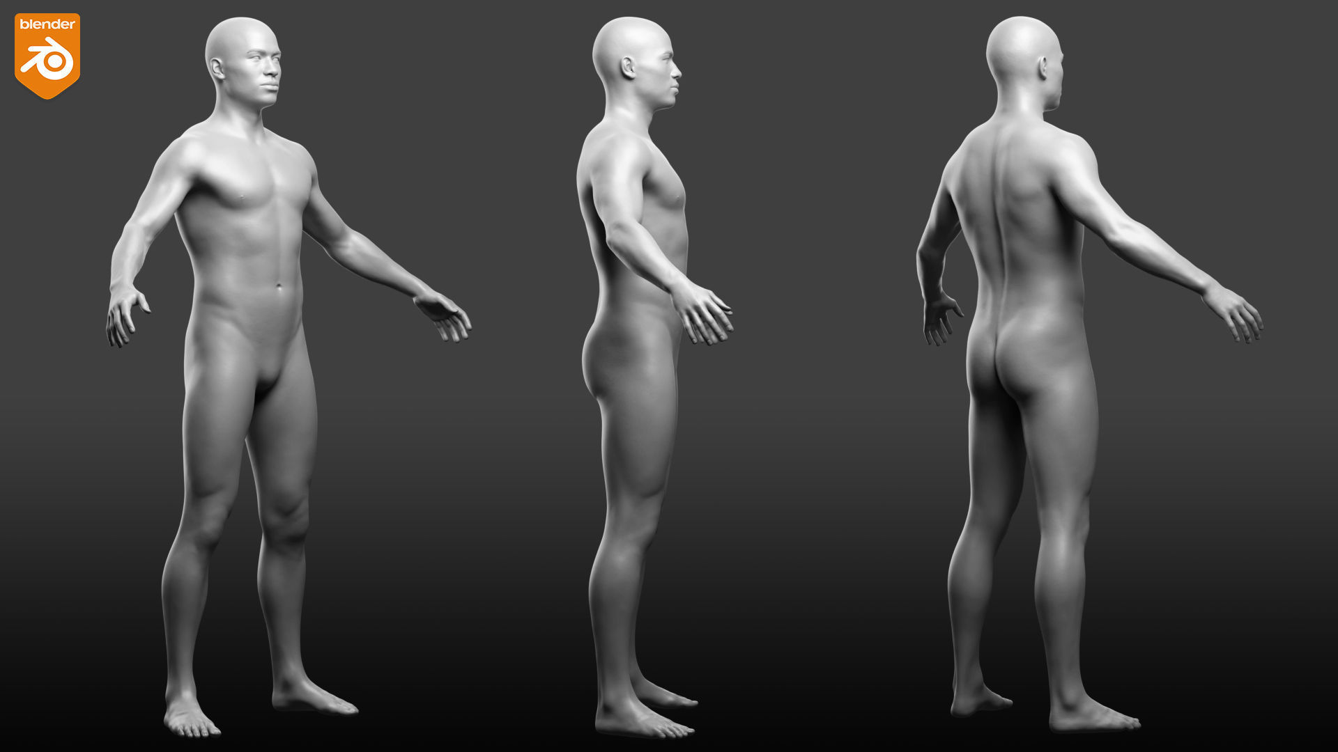 Custom Human Basemesh Set 3D Model Collection_64