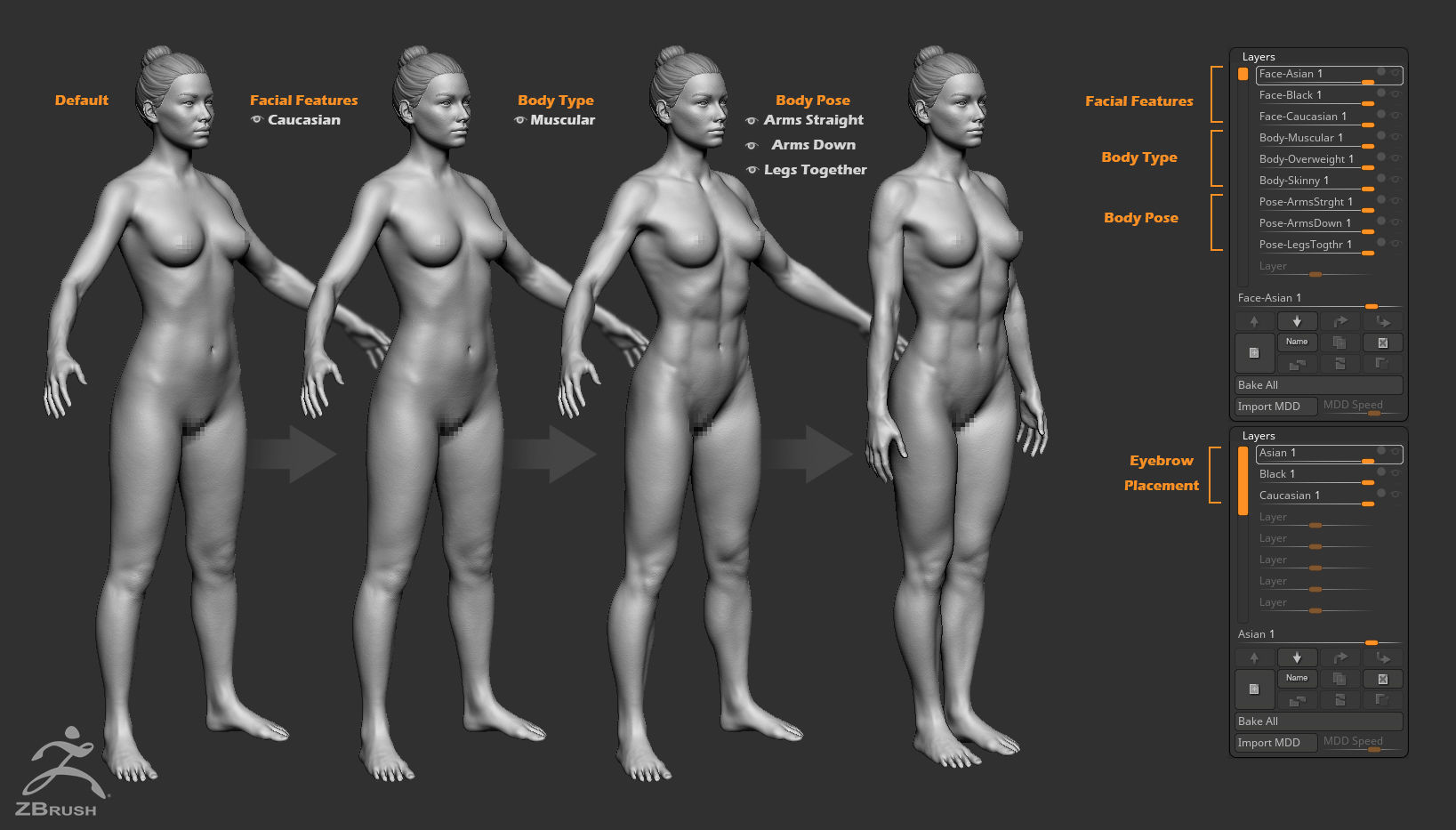 Custom Human Basemesh Set 3D Model Collection_2