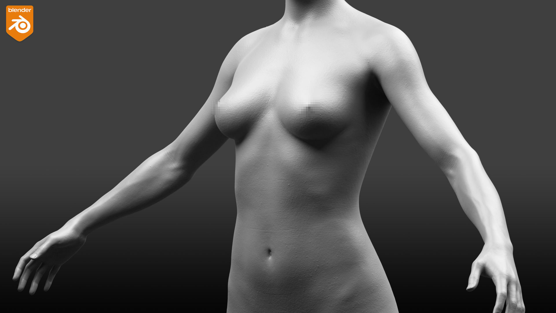 Custom Human Basemesh Set 3D Model Collection_52