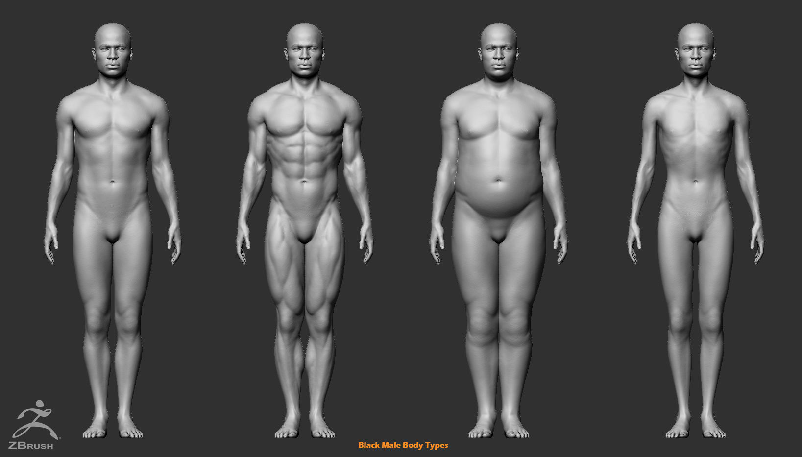 Custom Human Basemesh Set 3D Model Collection_28