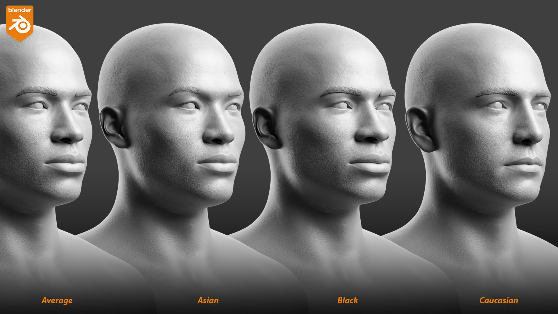 Custom Human Basemesh Set 3D Model Collection_61