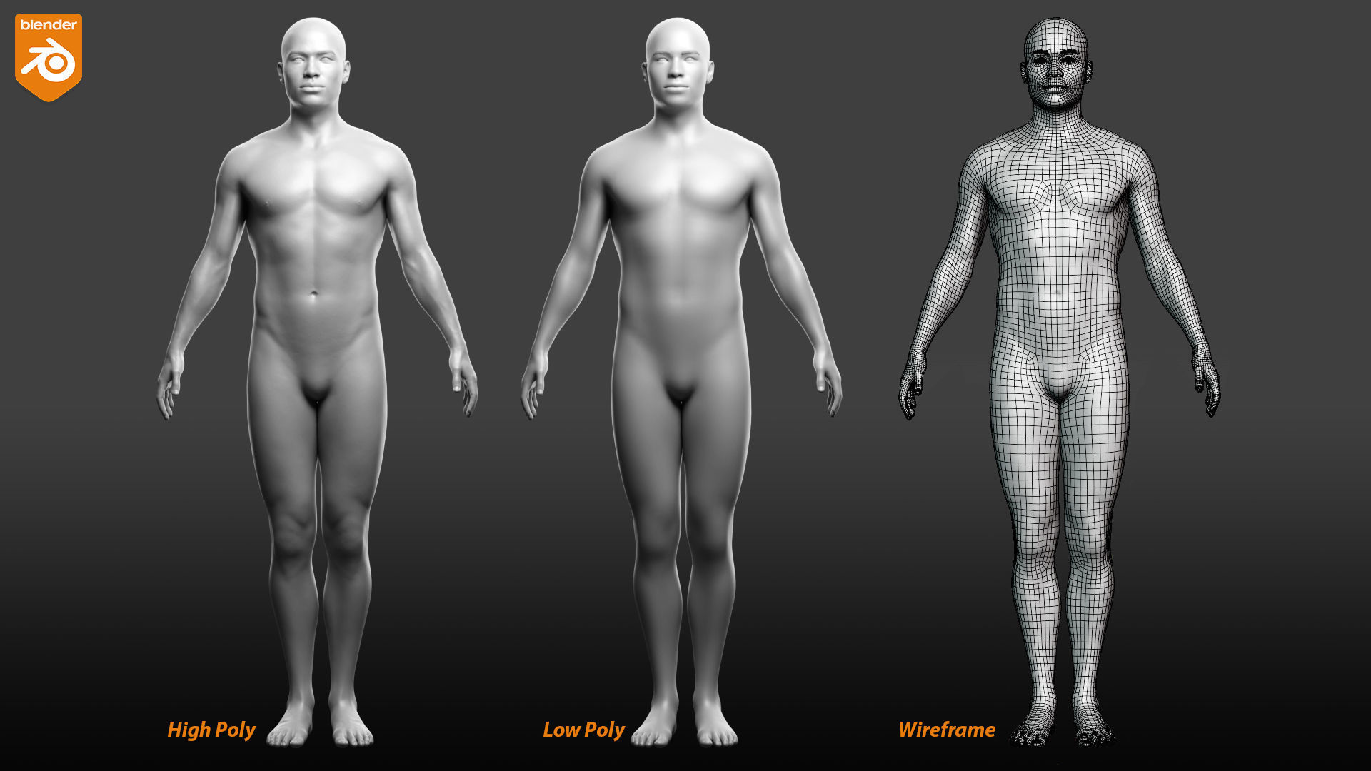 Custom Human Basemesh Set 3D Model Collection_62