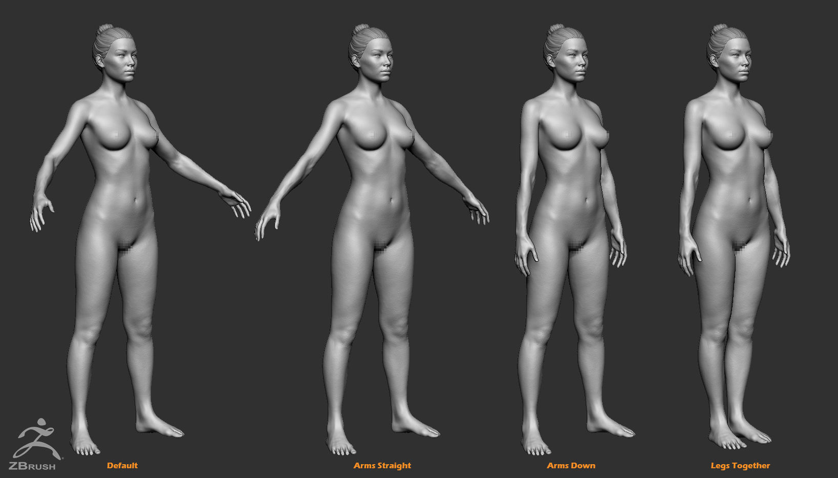 Custom Human Basemesh Set 3D Model Collection_6