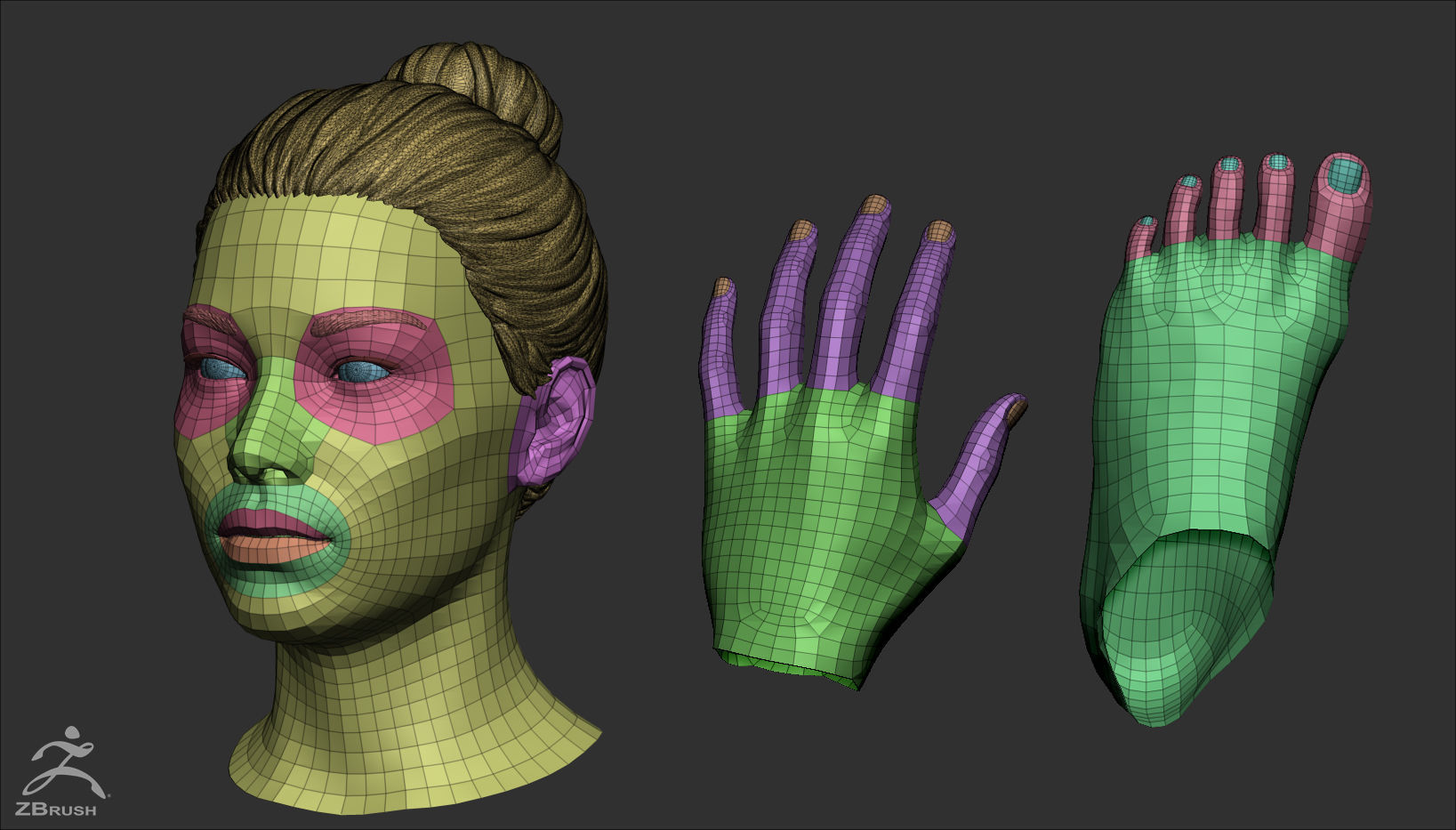 Custom Human Basemesh Set 3D Model Collection_19