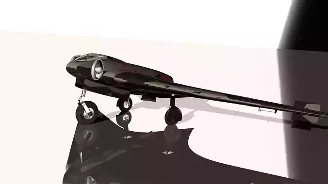 Horten IX V3 229  Scale RC Model 3D model