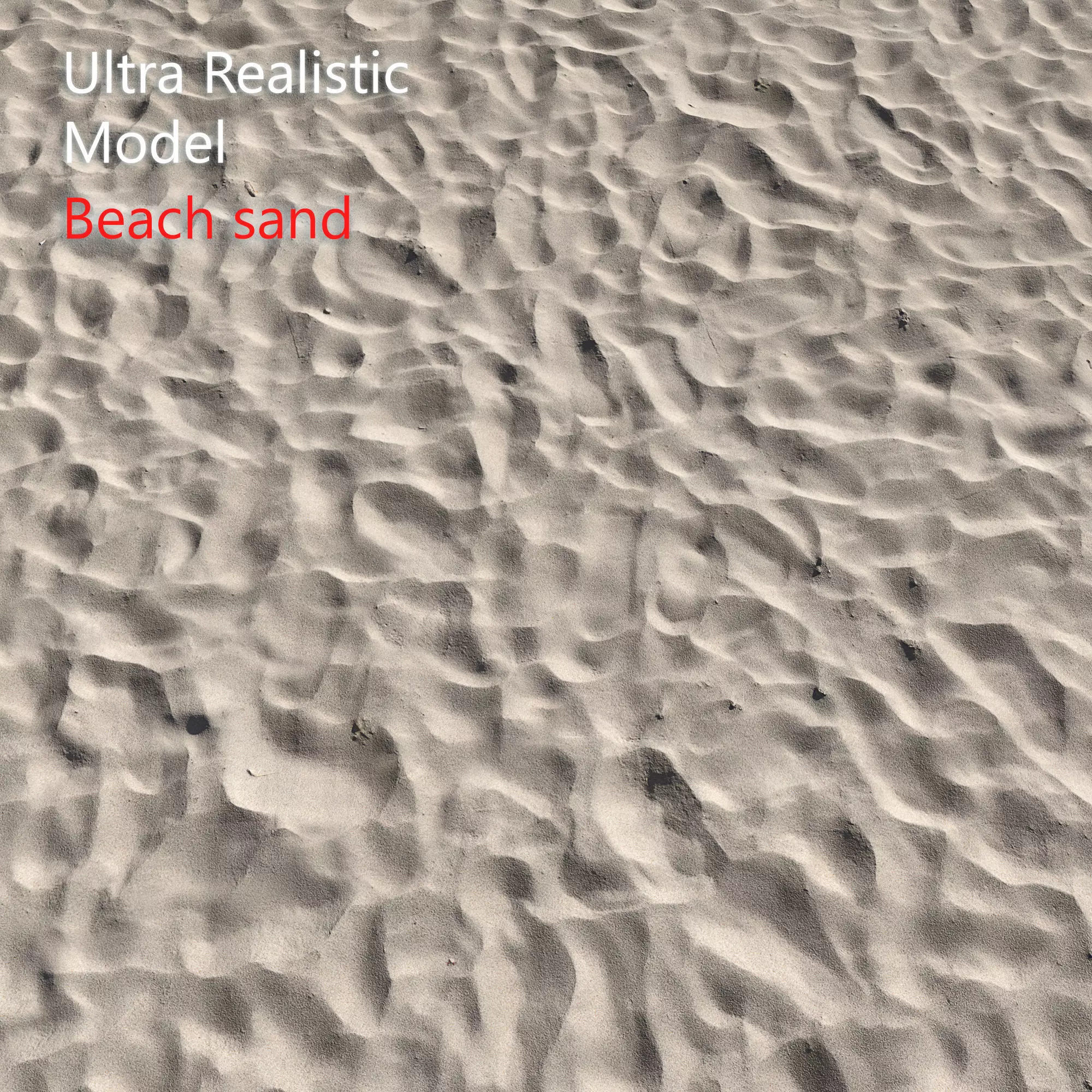 Beach sand Scan 3D model_0