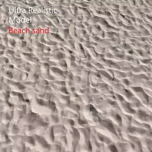 Beach sand Scan 3D model