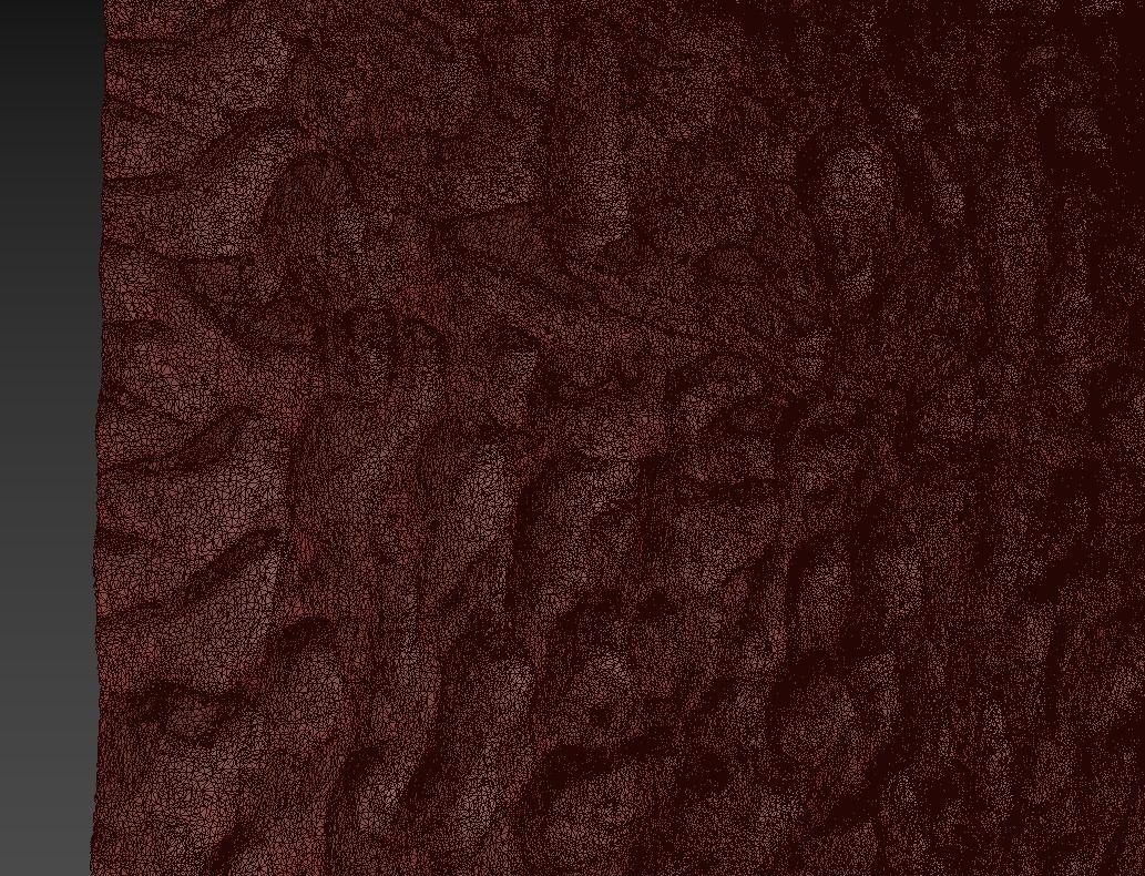 Beach sand Scan 3D model_7