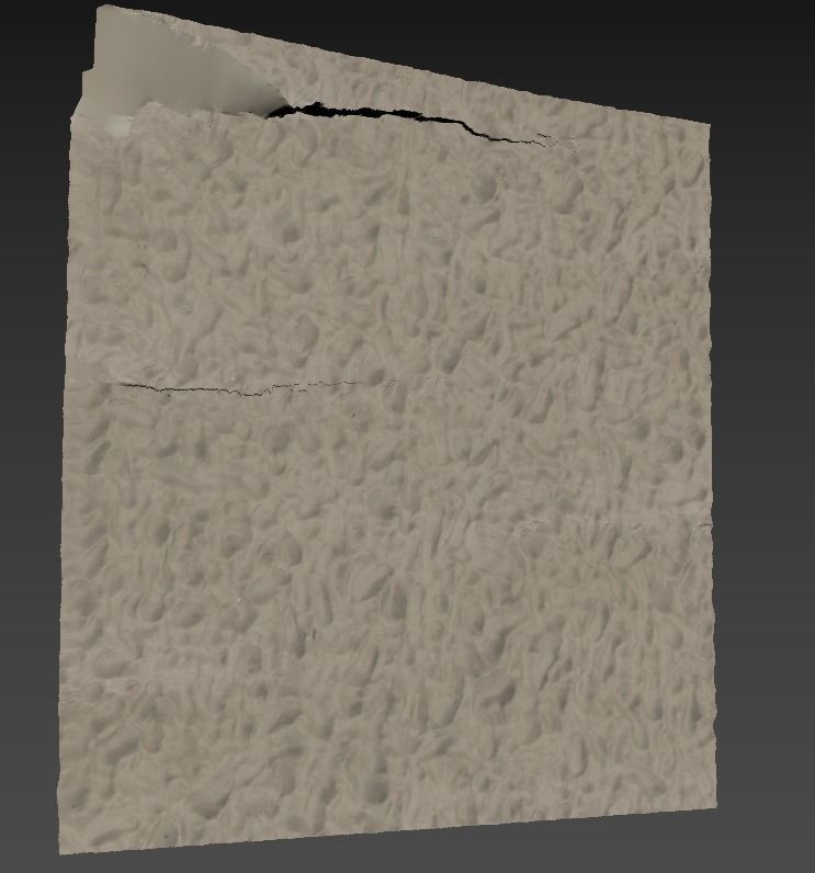 Beach sand Scan 3D model_6