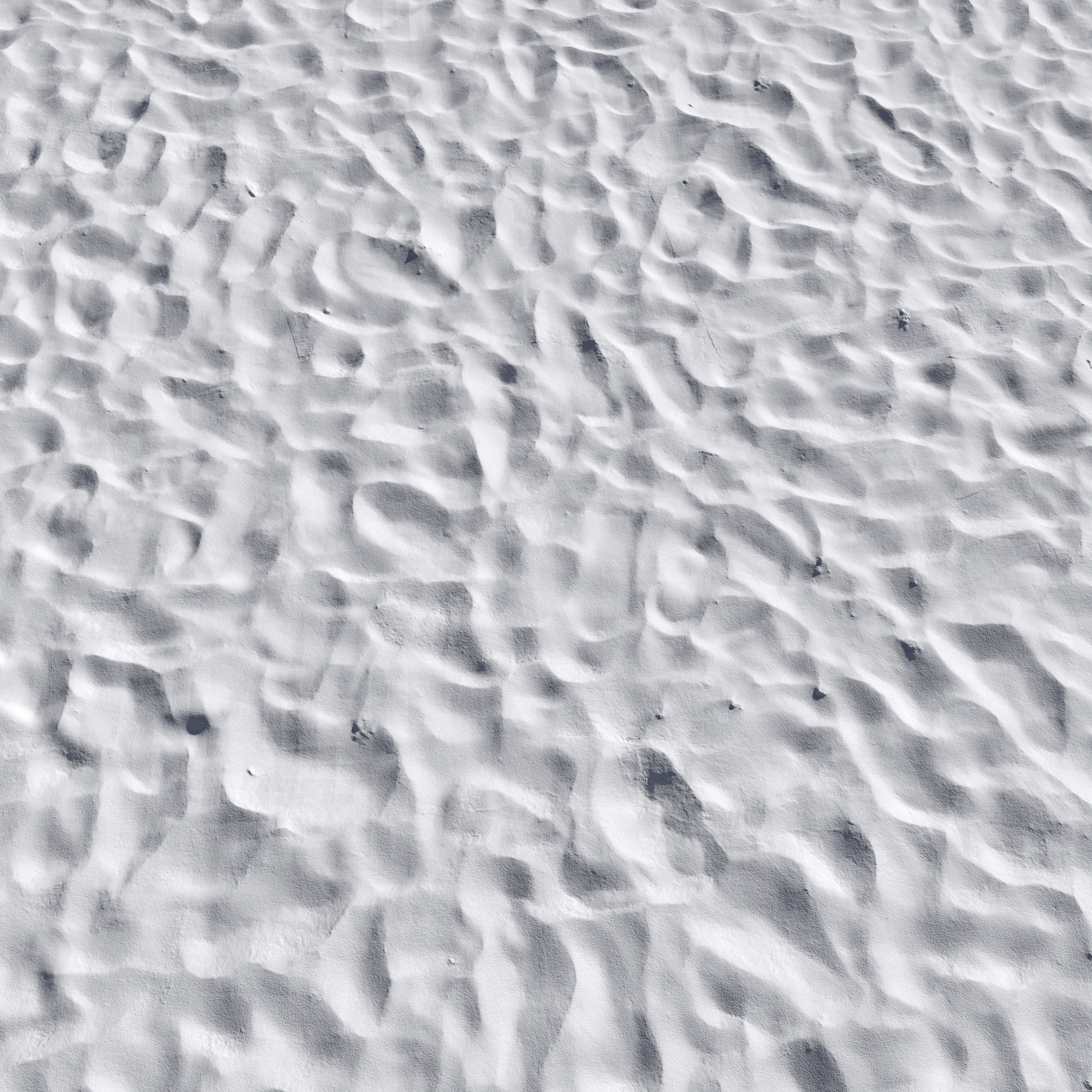 Beach sand Scan 3D model_2