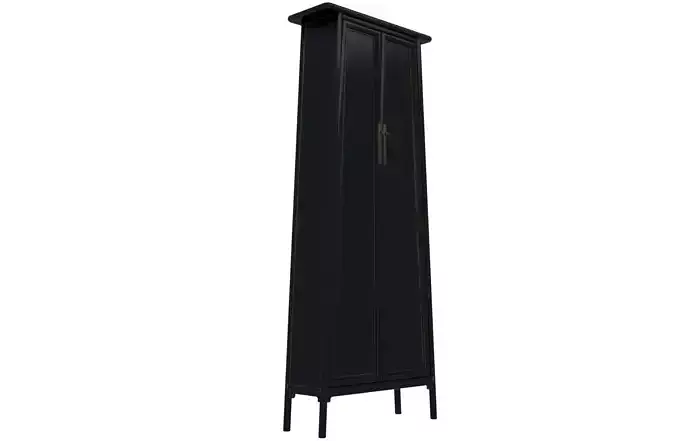 Wardrobe 1 tall cabinet 3D model