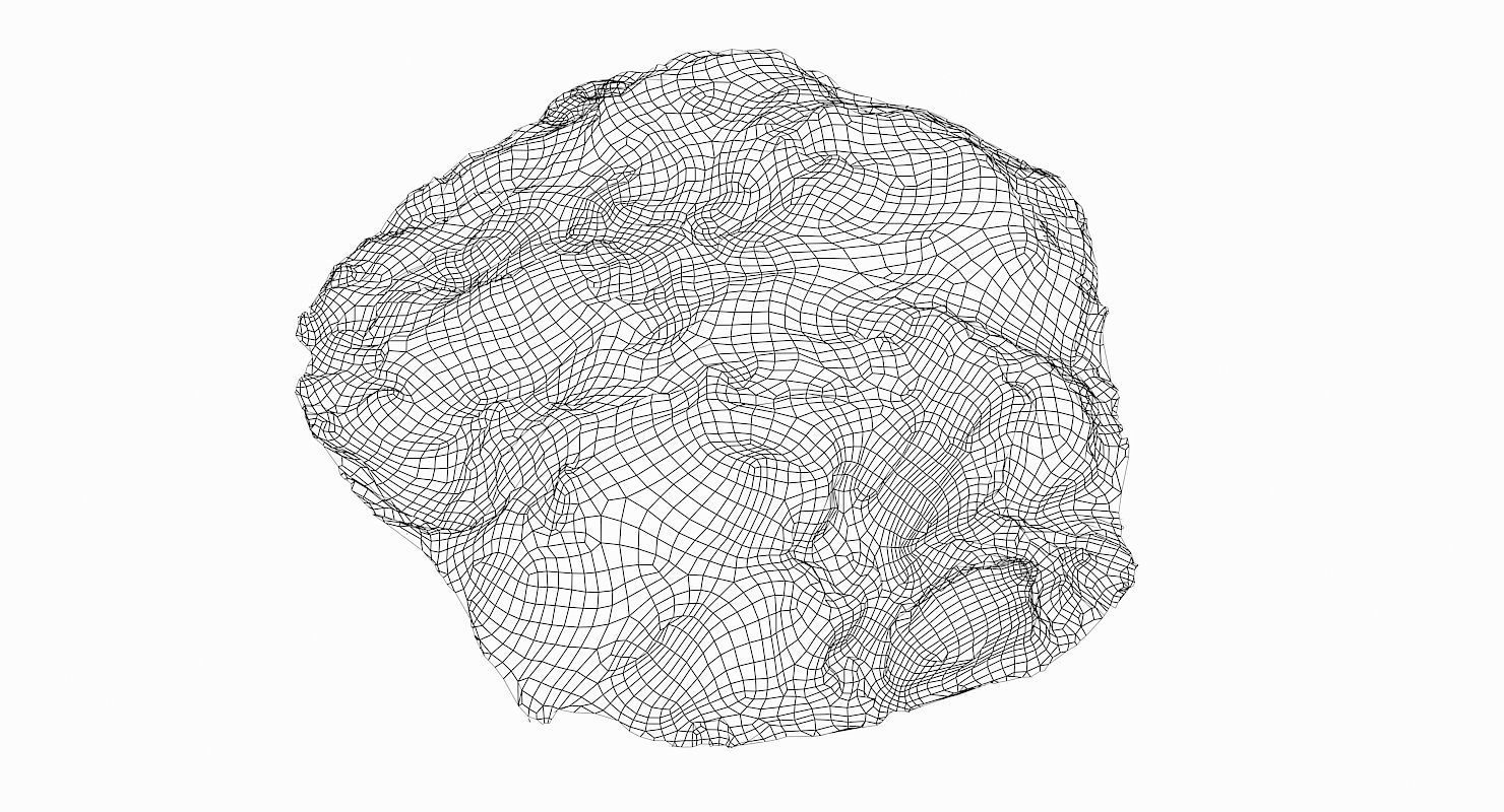 Mossy Rock Low-poly 3D model_8