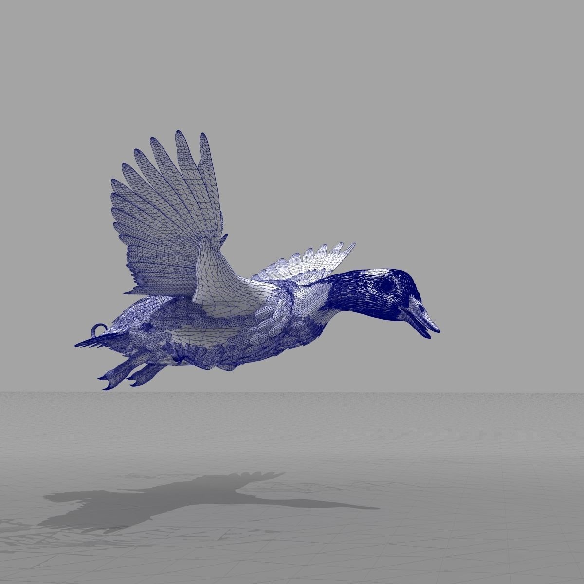 Mallard Duck 3D model_23