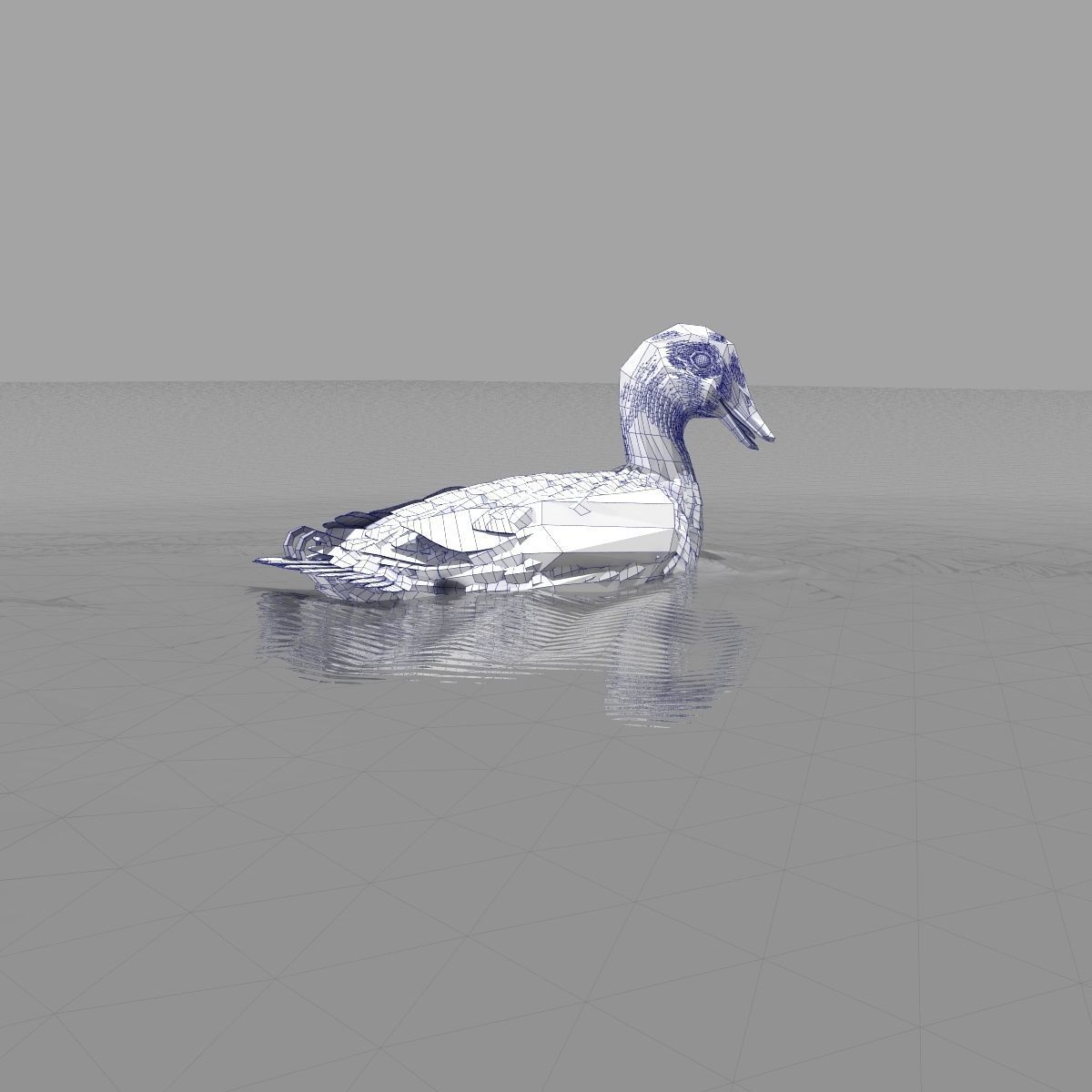 Mallard Duck 3D model_30