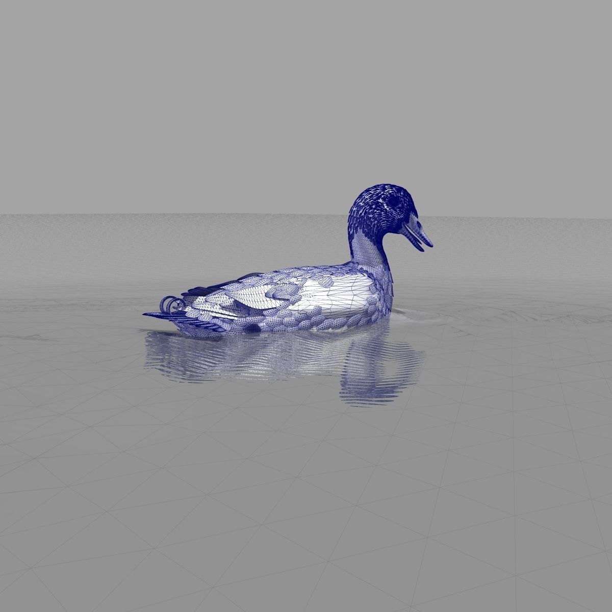 Mallard Duck 3D model_29