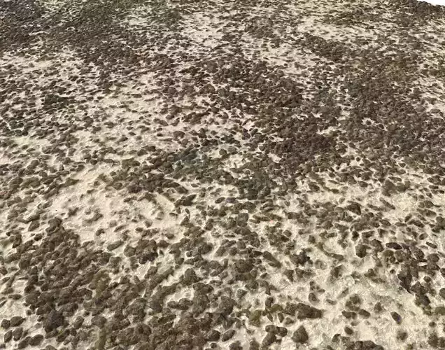 Sand and Gravel Seamless Pack 2 PBR